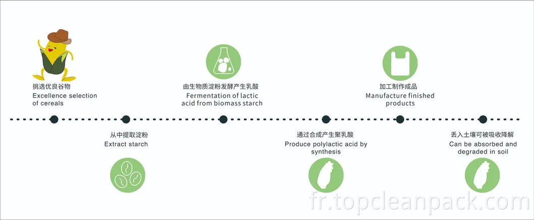 Sac enveloppe de bulle de diffusion personnalisée sac Express en plastique